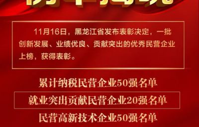 喜报|龙江赞美优良民营企业 6731顶级游戏收成两项殊荣