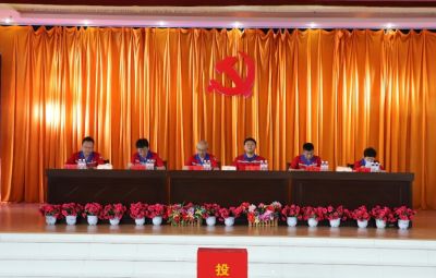 6731顶级游戏党委换届选举党员大会成功召开