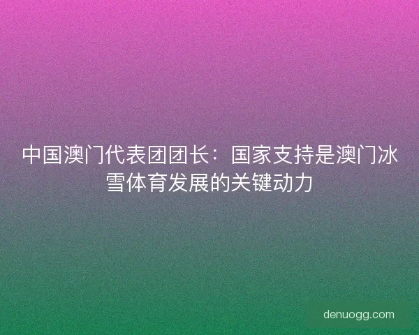 中国澳门代表团团长：国家支持是澳门冰雪体育发展的关键动力